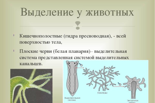 Кракен ссылка 2web krakendark link
