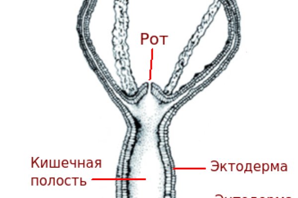Kraken at зеркало