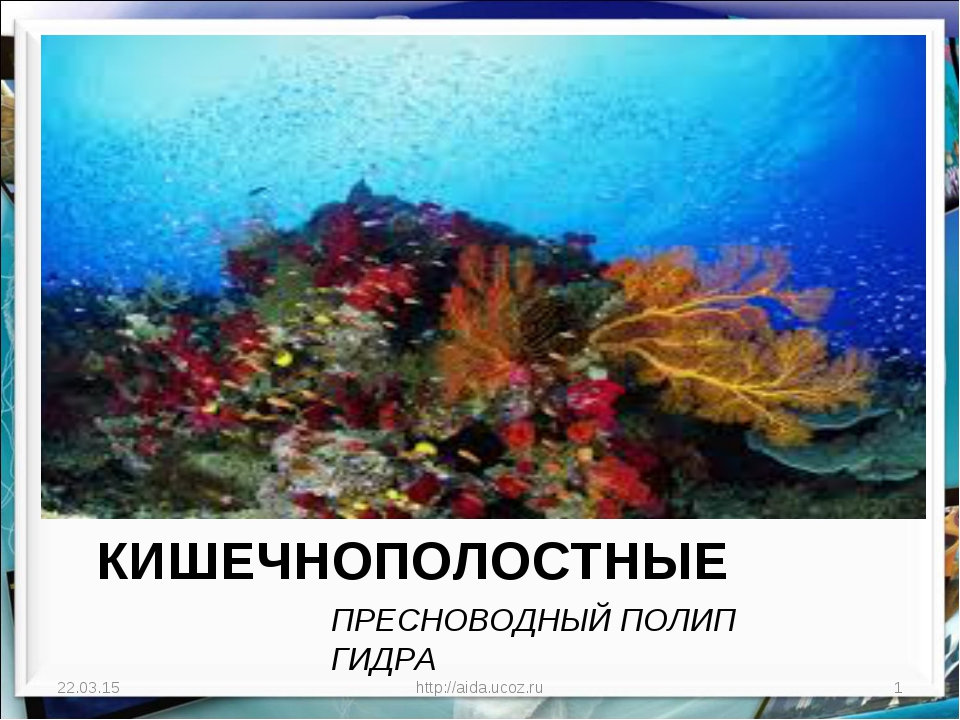 Кракен наркотики